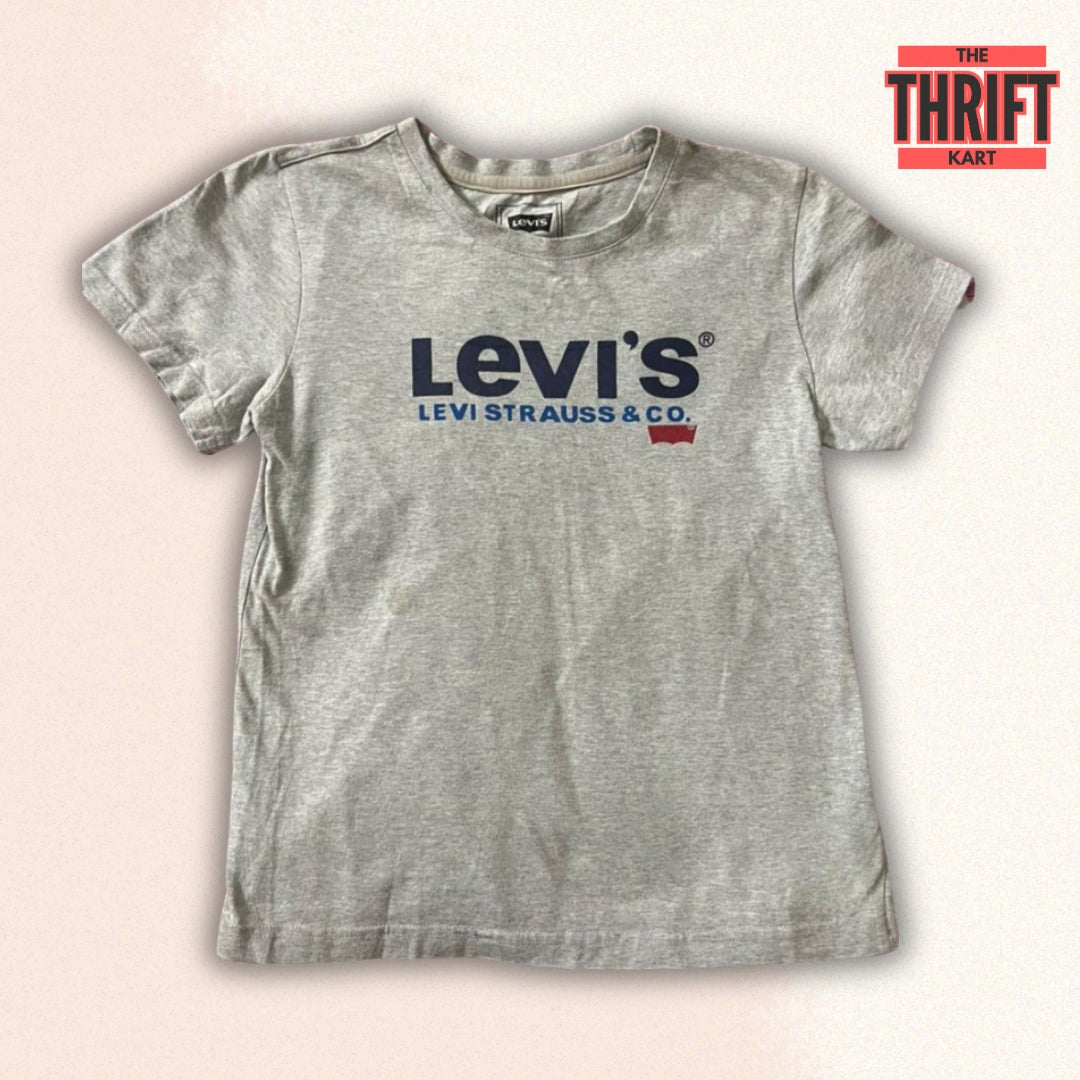 Levi's Chic Grey T-Shirt | Made in USA